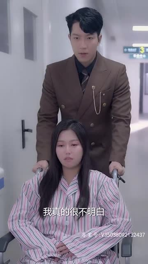再见前夫（92集）在线观看全集