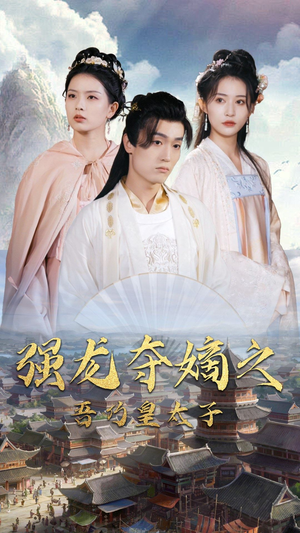 强龙夺嫡之吾乃皇太子（104集）好看吗