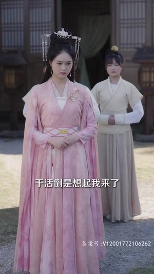 王妃今天休夫了吗（100集）太好看了短剧