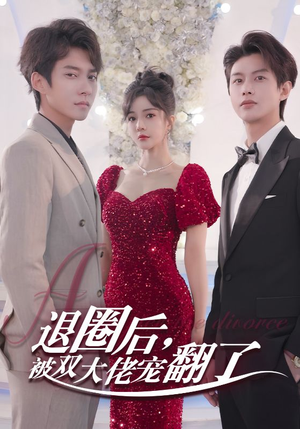 退圈后，被双大佬宠翻了（78集）在线看免费版