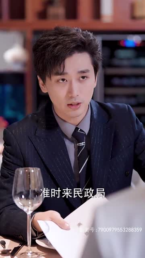 路漫情深远（90集）百度网盘资源