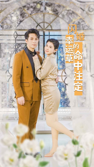 闪婚幸运草的命中注定（82集）无需会员免费看