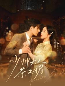 少帅夫人茶又媚（93集）网上可以看吗