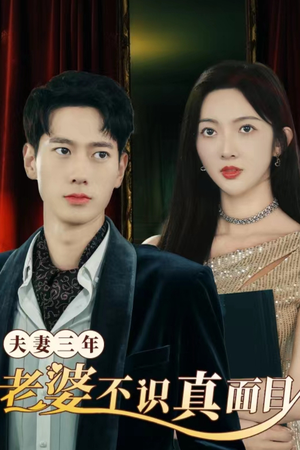 夫妻三年老婆不识真面目（83集）精彩好看的短剧