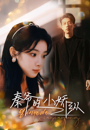 秦爷的小娇纵（96集）一共多少集