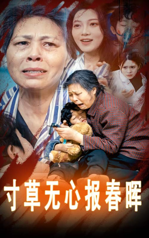 孝子慈孙（31集）第三季