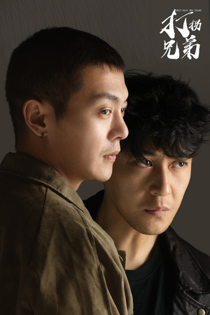 打拐兄弟（30集）完整版