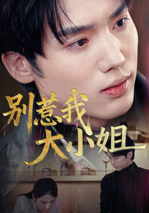 别惹我大小姐（40集）超火短剧抢先看