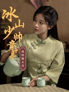 冰山少帅竟是我的傻夫君（86集）热播短剧免费看