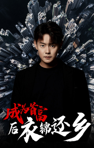 成为首富后衣锦还乡（30集）第32集
