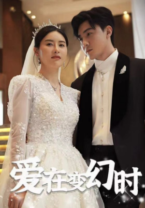 爱在变幻时（85集）免费版