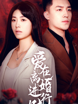 爱在离婚进行时（61集）全集免费