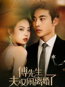 傅先生夫人又闹离婚了（80集）最火短剧推荐