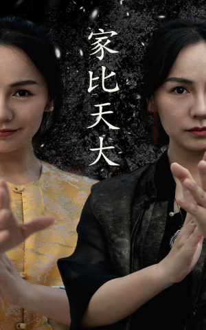 家比天大（63集）在哪里可以全集