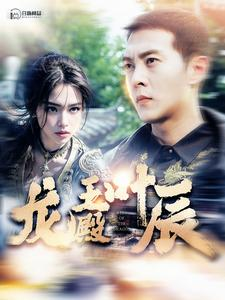 龙王殿叶辰（100集）第一集