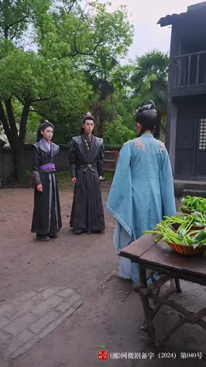 惊雀（72集）免费观看完整版