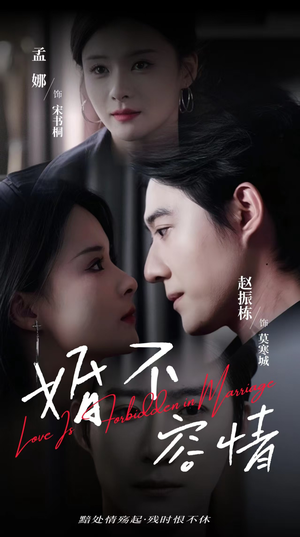 婚不容情（89集）在线看到大结局