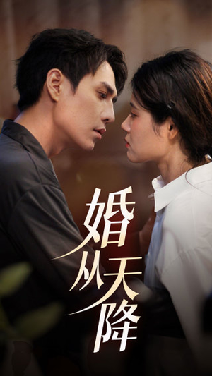 婚从天降（92集）短剧介绍