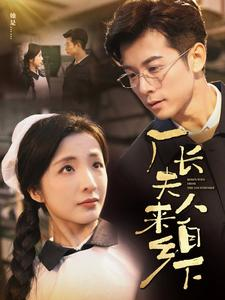 厂长夫人来自乡下（60集）短剧热播抢先看