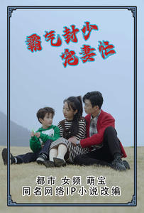 霸气封少宠妻忙（80集）短剧介绍
