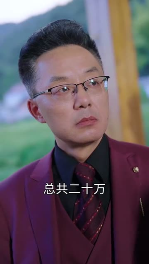 大器晚成（63集）短剧分享剧集