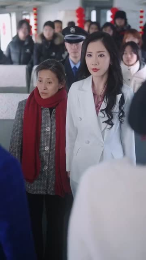 春运归途团圆年（40集）全剧免费观看
