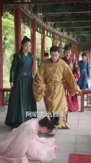 美人心计（52集）观看软件