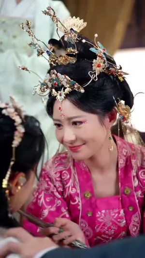宫锁南枝（31集）全集一次看完