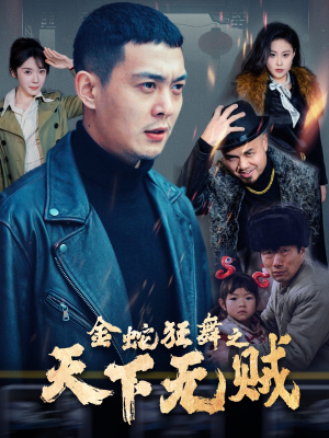 金蛇狂舞之天下无贼（52集）热门短剧大全