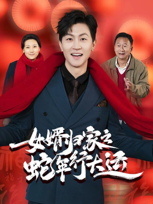 女婿归家之蛇年行大运（65集）视频在线看