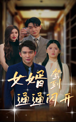 女婿驾到，通通闪开（34集）热播短剧全集看