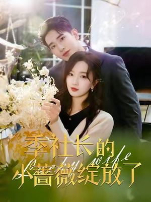 季社长的小蔷薇绽放了（60集）迅雷网盘观看
