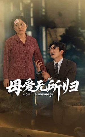 母爱无所归（33集）免费观看