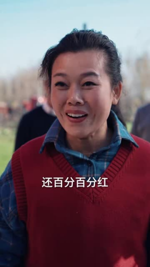 回家过年遇到极品亲戚（29集）爱上了这部剧了