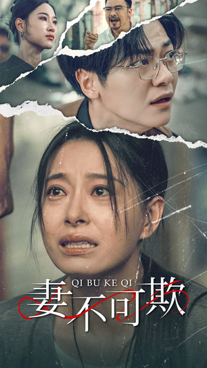 妻不可欺（51集）全集我都看完了