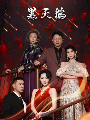 黑天鹅（51集）爆款短剧追不停