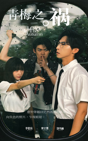 青梅之祸（81集）一共多少集
