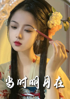 明月照南星（71集）短剧介绍