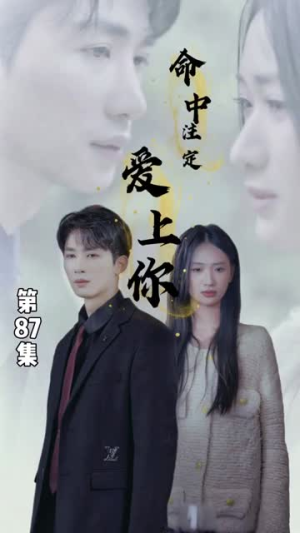 命中注定爱上你（96集）在线看到大结局
