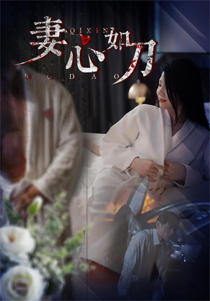 妻心如刀（30集）第三季