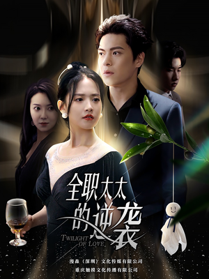 全职太太的逆袭（80集）短剧全集完整版