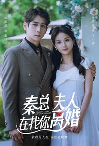 秦总，夫人在找你离婚（79集）在哪里可以全集
