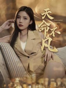 天命不凡（28集）短剧精彩绝伦