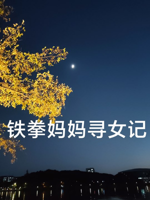 铁拳妈妈寻女记（69集）精彩短剧随心推