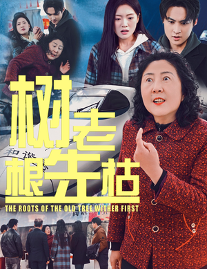 树老根先枯（33集）在哪个app能看