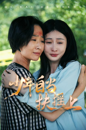 少年自当扶摇上（30集）热门短剧分享