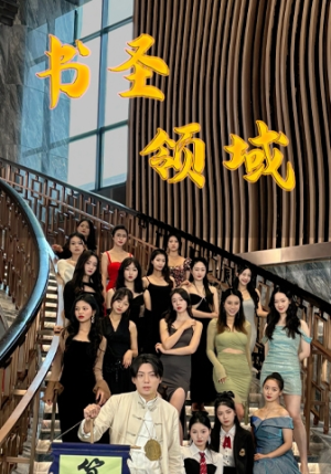 书圣领域（95集）免费观看全集
