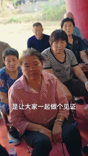 双生荣耀（71集）短剧全集抢先看