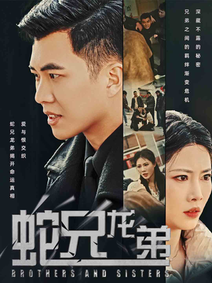 蛇兄龙弟（60集）80到100集
