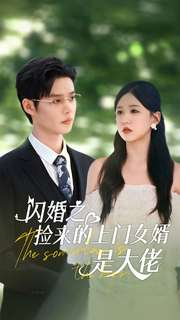 闪婚之捡来的上门女婿是大佬（79集）短剧热播推荐